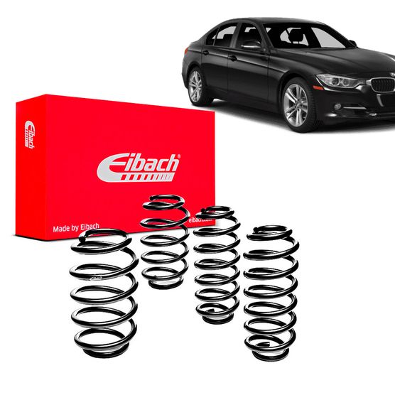 Kit-Molas-Eibach--328 Kit-Molas-Eibach--328