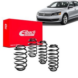 Kit-Molas-Eibach--Passat-Tsi