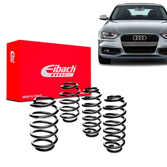 Kit-Molas-Eibach-A4 Kit-Molas-Eibach-A4