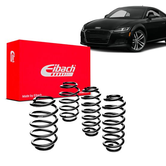 Kit-Molas-Eibach-tt Kit-Molas-Eibach-tt