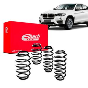 Kit-Molas-Eibach-x6-35i