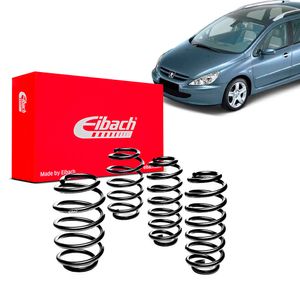 Kit-Molas-Eibach--Peugeot-307-SW-JP-spec-2002–05-1024x768