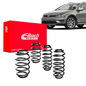 Kit-Molas-Eibach-mk7-sw