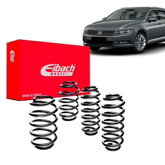 Kit-Molas-Eibach-sw Kit-Molas-Eibach-sw