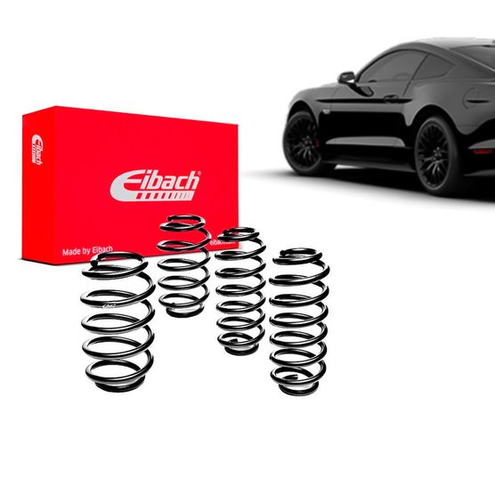Molas-Eibach-Ford-Mustang-GT-5.0-V8-Traseira-LR-2018---01 Molas-Eibach-Ford-Mustang-GT-5.0-V8-Traseira-LR-2018---01