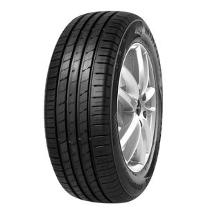 Pneu-Minerva-Ecospeed-2-XL-245-35ZR21-96Y