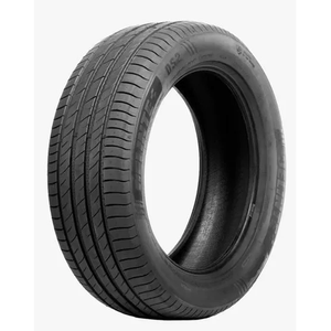 Pneu-Delinte-DS2-225-60R16-98H