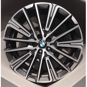 X1-MSPORT
